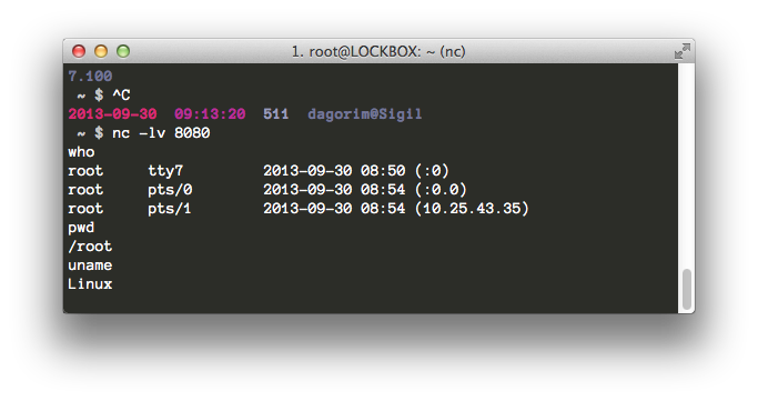 netcat reverse shell and bind shell netcat reverse shell and bind shell