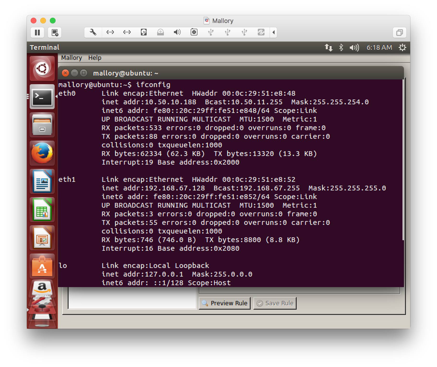 Mallory VM ifconfig output
